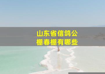 山东省信鸽公棚春棚有哪些