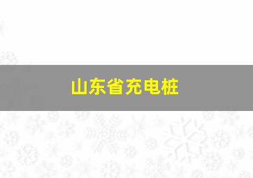 山东省充电桩