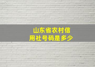 山东省农村信用社号码是多少