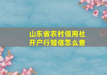 山东省农村信用社开户行短信怎么查