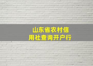 山东省农村信用社查询开户行