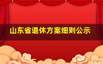 山东省退休方案细则公示