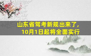 山东省驾考新规出来了,10月1日起将全面实行