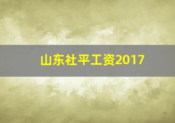 山东社平工资2017