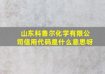 山东科鲁尔化学有限公司信用代码是什么意思呀