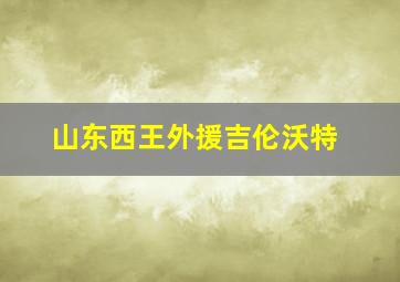 山东西王外援吉伦沃特