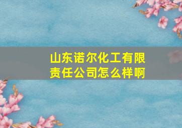 山东诺尔化工有限责任公司怎么样啊