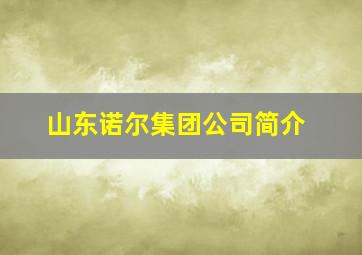 山东诺尔集团公司简介