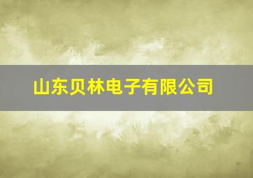 山东贝林电子有限公司