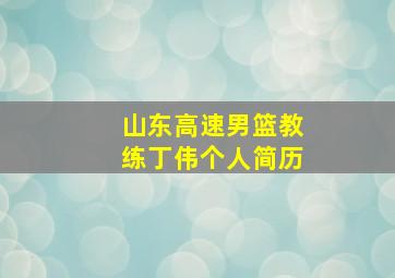 山东高速男篮教练丁伟个人简历