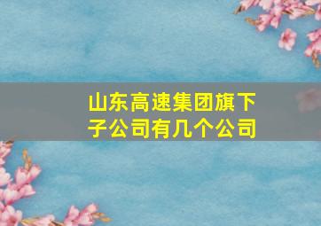 山东高速集团旗下子公司有几个公司