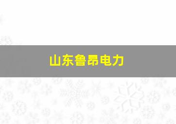 山东鲁昂电力