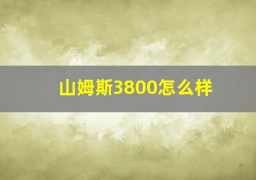 山姆斯3800怎么样