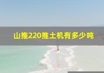 山推220推土机有多少吨