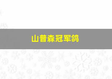 山普森冠军鸽