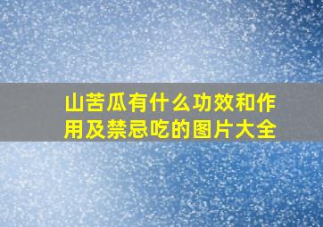 山苦瓜有什么功效和作用及禁忌吃的图片大全