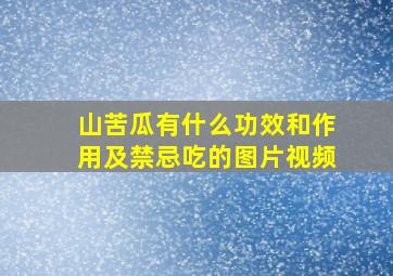 山苦瓜有什么功效和作用及禁忌吃的图片视频