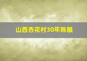 山西杏花村30年陈酿