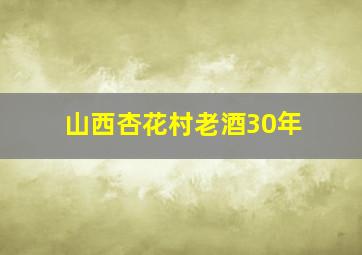 山西杏花村老酒30年