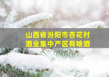 山西省汾阳市杏花村酒业集中产区有啥酒