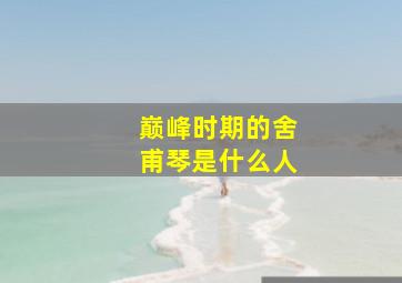 巅峰时期的舍甫琴是什么人