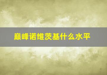 巅峰诺维茨基什么水平