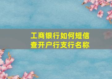 工商银行如何短信查开户行支行名称