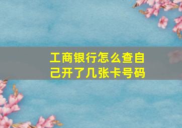 工商银行怎么查自己开了几张卡号码