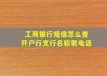 工商银行短信怎么查开户行支行名称呢电话