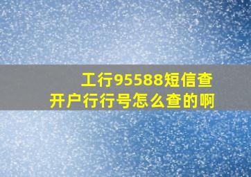 工行95588短信查开户行行号怎么查的啊