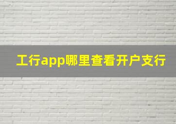 工行app哪里查看开户支行