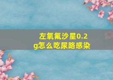 左氧氟沙星0.2g怎么吃尿路感染