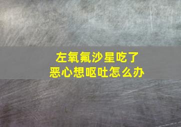 左氧氟沙星吃了恶心想呕吐怎么办