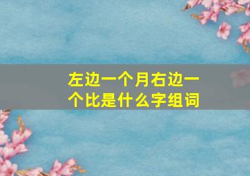 左边一个月右边一个比是什么字组词