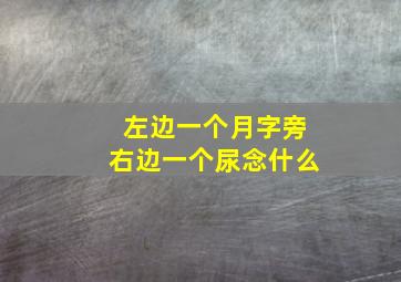 左边一个月字旁右边一个尿念什么