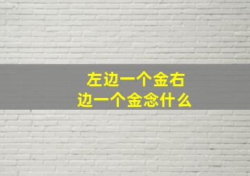 左边一个金右边一个金念什么