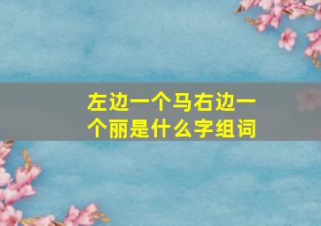 左边一个马右边一个丽是什么字组词