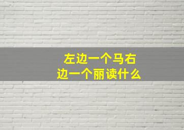 左边一个马右边一个丽读什么