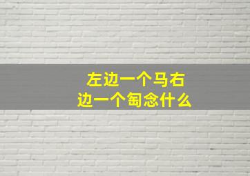 左边一个马右边一个匋念什么