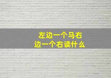 左边一个马右边一个右读什么