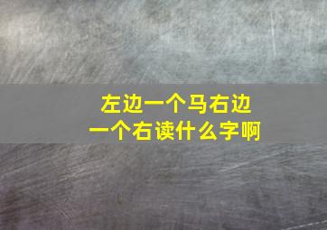 左边一个马右边一个右读什么字啊