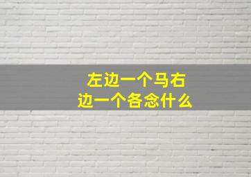 左边一个马右边一个各念什么