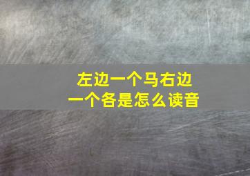 左边一个马右边一个各是怎么读音