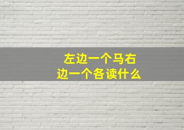 左边一个马右边一个各读什么