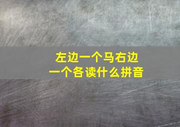 左边一个马右边一个各读什么拼音