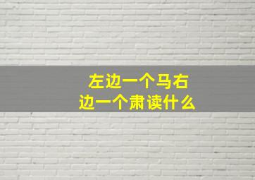 左边一个马右边一个肃读什么