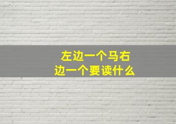 左边一个马右边一个要读什么