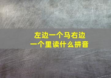 左边一个马右边一个里读什么拼音