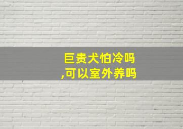 巨贵犬怕冷吗,可以室外养吗