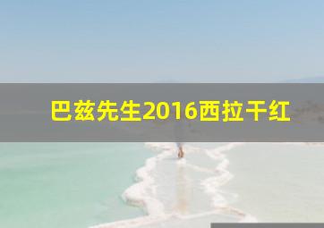 巴兹先生2016西拉干红